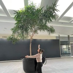 Meet your Posher, Glen